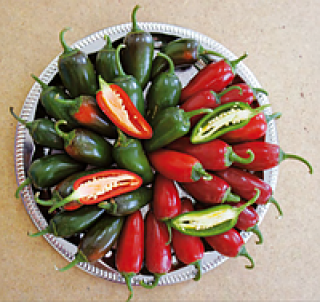 Перец острый Фуджи F1 - ООО «Семена Тут»