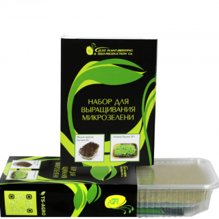 Набор для выращивания микрозелени №2 - ООО «Семена Тут»