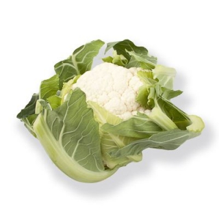 Капуста цветная Церси F1 - ООО «Семена Тут»