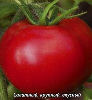 Томат Маршал F1 (инкруст. семена) - ООО «Семена Тут»