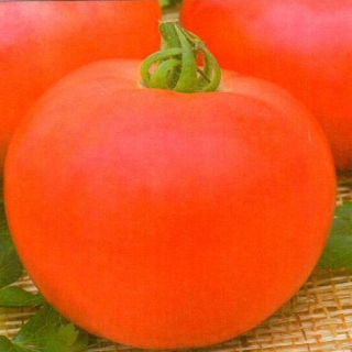 img-0: Томат Малиновый звон F1 - ООО «Семена Тут»