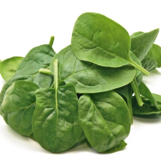 img-0: Шпинат Гудвин МЗ - ООО «Семена Тут»