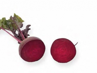 Свекла Монти F1 (фракция 2,75-3,50) - ООО «Семена Тут»