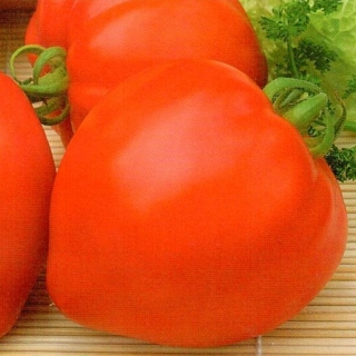 img-0: Томат Примадонна F1 - ООО «Семена Тут»