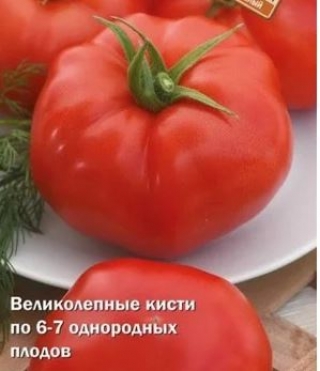 img-1: Томат Кассиопея F1 (инкруст. семена) - ООО «Семена Тут»