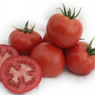 img-0: Томат Бейсужок F1 - ООО «Семена Тут»