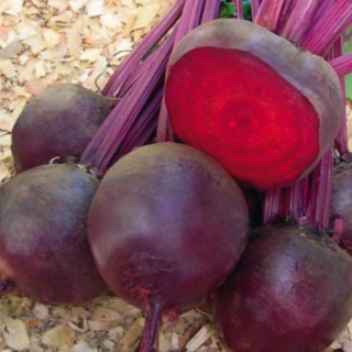 img-0: Свекла Мондоро - ООО «Семена Тут»