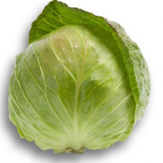 Капуста белокочанная Джетодор F1 - ООО «Семена Тут»