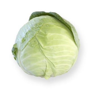 Капуста белокочанная Марчелло F1 - ООО «Семена Тут»