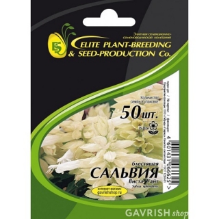 img-1: Сальвия Виста Вайт [50 шт] - ООО «Семена Тут»