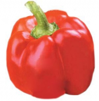 Перец Юпитер F1 - ООО «Семена Тут»