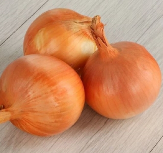 Лук репчатый Форвард - ООО «Семена Тут»