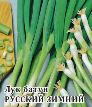 img-1: Лук батун Русский зимний - ООО «Семена Тут»