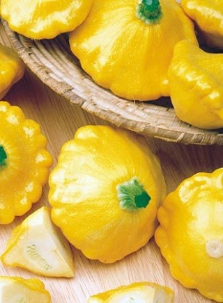 img-1: Патиссон Санни Делайт F1 - ООО «Семена Тут»