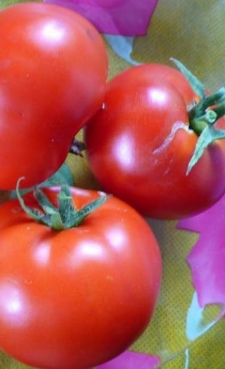 img-1: Томат Макс - ООО «Семена Тут»