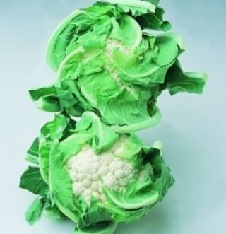 Капуста цветная Борис F1 - ООО «Семена Тут»