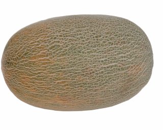 img-1: Дыня Алтын F1 - ООО «Семена Тут»