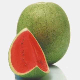 img-0: Арбуз Эль Уафи F1 - ООО «Семена Тут»