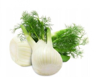 img-2: Фенхель Феномен - ООО «Семена Тут»