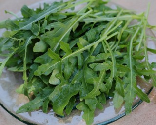 img-1: Рукола Гурман дикая - ООО «Семена Тут»