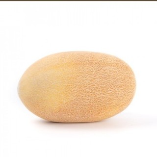 img-1: Дыня Катерина F1 - ООО «Семена Тут»