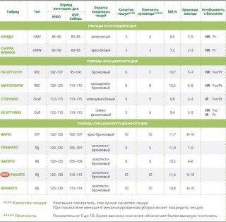 img-1: Лук репчатый Премито F1 - ООО «Семена Тут»