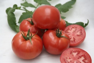 img-1: Томат Таганрог F1 - ООО «Семена Тут»