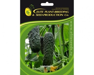 img-2: Огурец Бомбардир F1 - ООО «Семена Тут»