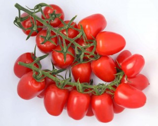 img-2: Томат Патронташ F1 - ООО «Семена Тут»