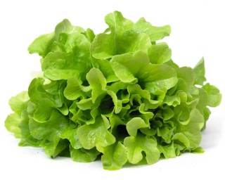 img-1: Салат Нефрит - ООО «Семена Тут»