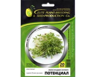 img-1: Сельдерей Потенциал листовой МЗ - ООО «Семена Тут»