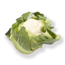 Капуста цветная Церси F1 - ООО «Семена Тут»