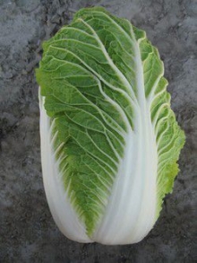 Капуста пекинская Пасифико F1* - ООО «Семена Тут»