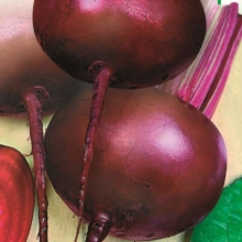 Свекла столовая Креолка [фракция 3,0-4,0 мм] - ООО «Семена Тут»