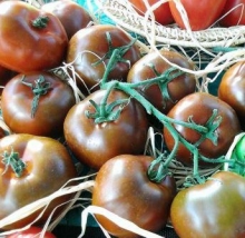 Томат Наоми F1 - ООО «Семена Тут»