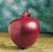 Лук репчатый Робин - ООО «Семена Тут»