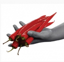 img-1: Перец острый Пьетро F1 - ООО «Семена Тут»