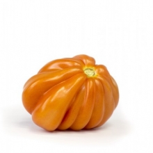 Томат Ругантино F1 - ООО «Семена Тут»