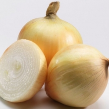 Лук репчатый Беннито F1 - ООО «Семена Тут»