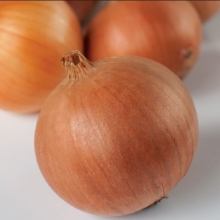 Лук репчатый Денвер (инкруст. семена) - ООО «Семена Тут»