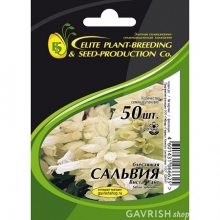 img-1: Сальвия Виста Вайт [50 шт] - ООО «Семена Тут»