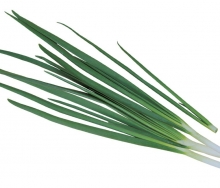 img-1: Лук на зелень Легионер - ООО «Семена Тут»