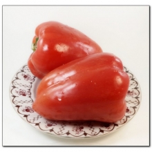 img-1: Перец Руслан - ООО «Семена Тут»