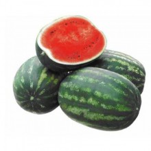 Арбуз Скиф F1 - ООО «Семена Тут»