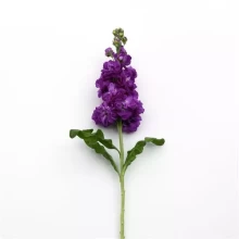 img-1: Маттиола Матильда Блю [1000 шт] - ООО «Семена Тут»