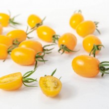 Томат Кэнди F1 - ООО «Семена Тут»