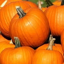 Тыква крупноплодная Фонарь - ООО «Семена Тут»