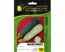 img-1: Огурец Максимус F1 - ООО «Семена Тут»