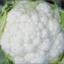 Капуста цветная Боник F1 - ООО «Семена Тут»