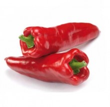 Перец Каптур F1 - ООО «Семена Тут»